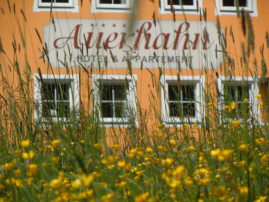 Hotel & Appartement Auerhahn Обертауерн Екстер'єр фото